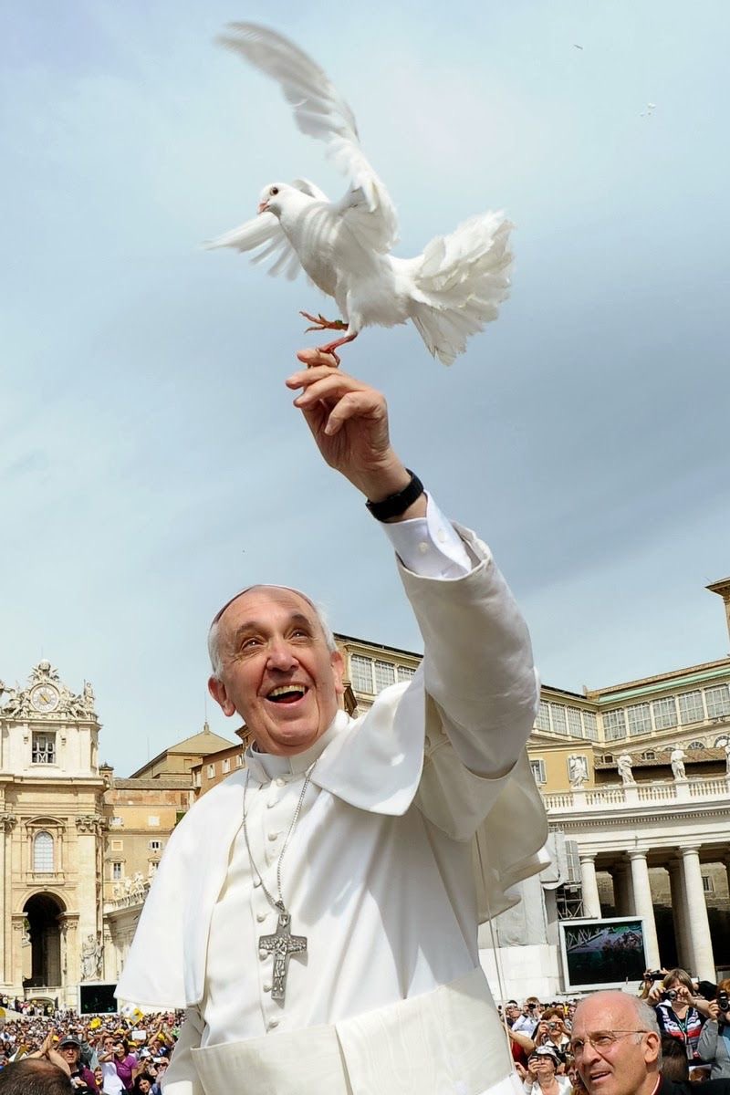 Pope Francis holding a dove - Nigeria Gossip