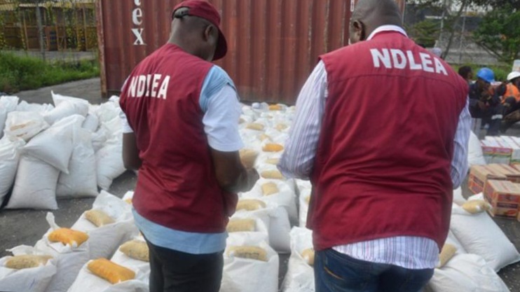 NDLEA's Official on their duty - Nigeria Gossip