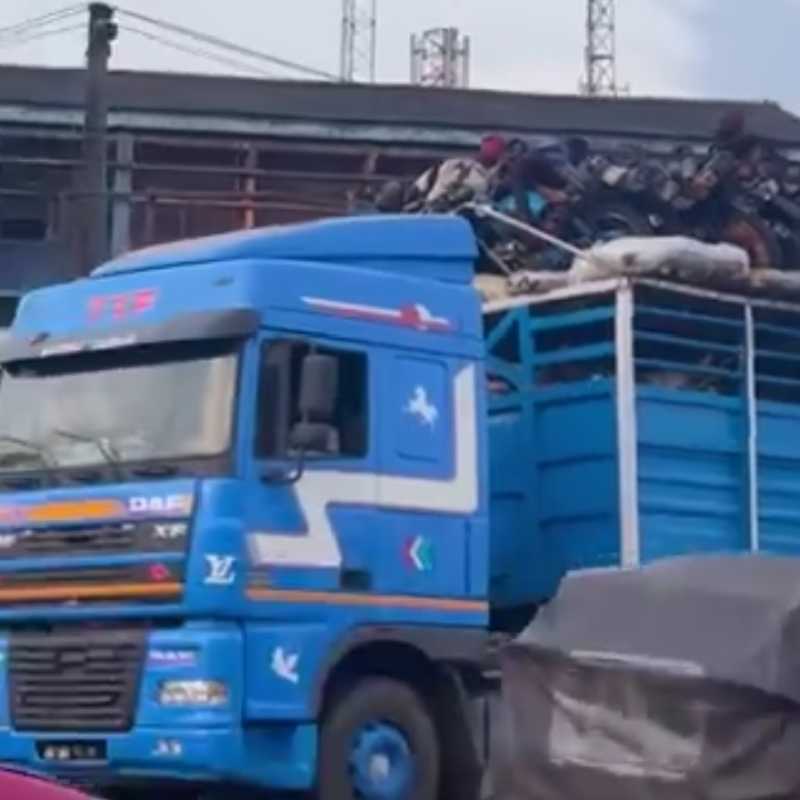 Panic in Ibadan: Truck Full of Northern Youths, Bikes & Cows Arrive From The North - Related Nigeria Gossip