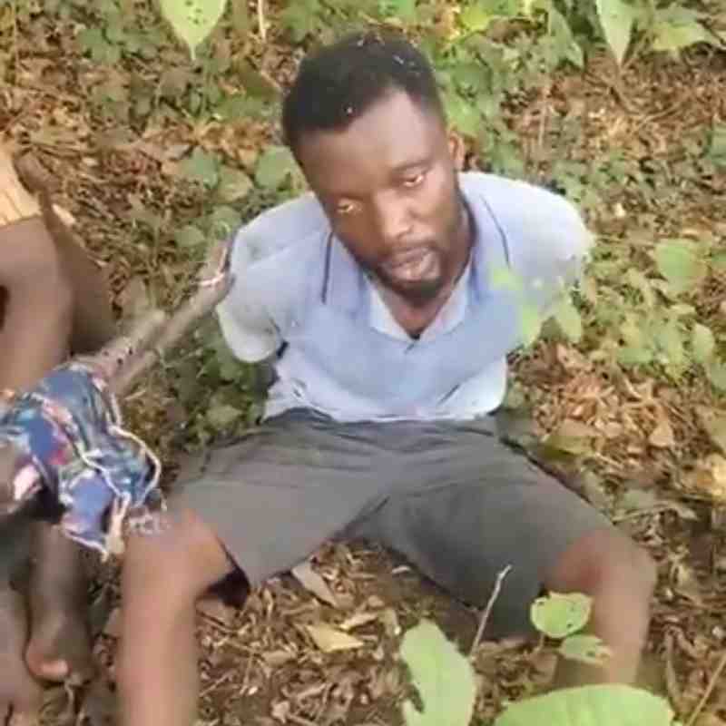 Kidnapped Vine Crest College staffer Magaji Adebanjo Begs for Life in Chilling Forest Video – N100m Ransom