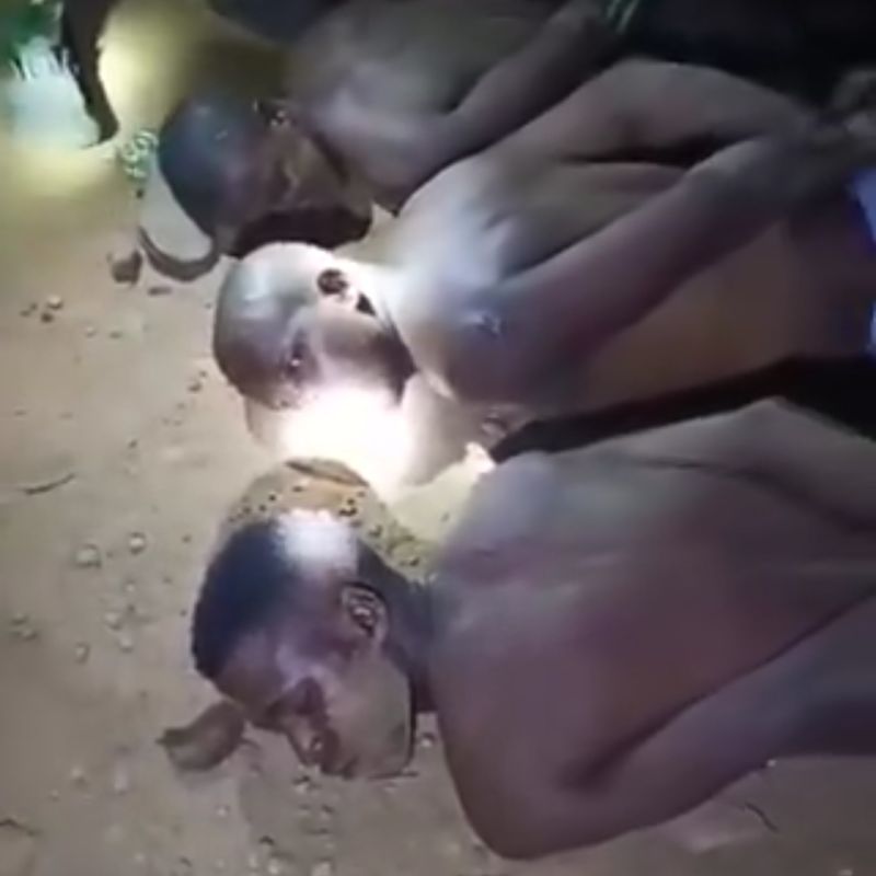 Bandits Claim Kwara Government Supplied AK-47s in Shocking Arrest Video
